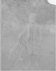 DEA1894-3.jpg