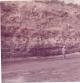 PAP1844-7.jpg