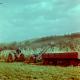 SAV1908-244.JPG