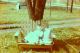 SAV1959-182.JPG
