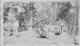 WIL1910-121.jpg